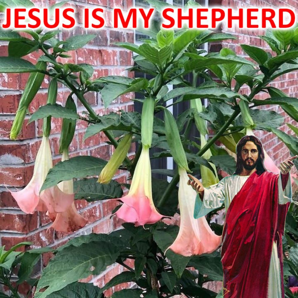 Meet your Posher, Glenda